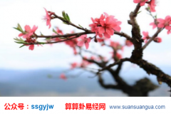 玄学大师_从时柱看桃花运如何(八字)