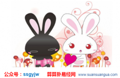 命运测算_金兔人的事业与财运（图解）