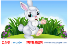 命运测算：木兔人的事业和财运（图解）