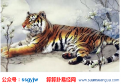 属虎的人寒露出生命好吗？命运测算