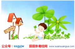 起名的学问_2020鼠年重阳节出生的男孩八字缺木适合取什么名字？（图解）