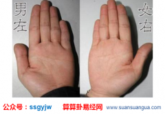 看相算命图解_发财手掌纹路(手相)