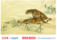 运势测试：生肖属虎的在重阳节出生的命运如何？（图解）