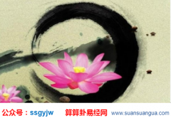 看相算命_大师浅谈贾玲若不胖肯定火不了(体相)