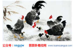 财运算命:属鸡的人几时出生财运较好?(图解)