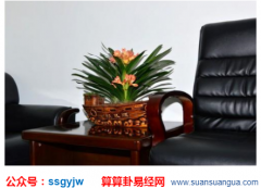 房间风水_巧妙布置办公桌轻松旺财旺事业(风水)