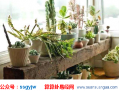 风水运势_大师解说凡建一宅必有一门（风水知识）