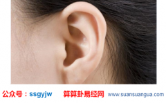 面相算命_大师浅谈几种富贵相（面相）