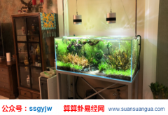 中国风水大师_解说家中用水有讲究(风水)