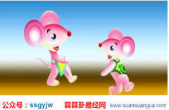 流年运程_火鼠的人运势及运程如何？9图文