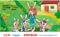 流年运程_女人属兔的命运如何？（图解）