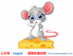 流年运程_木鼠的人运势及运程如何？（图文）