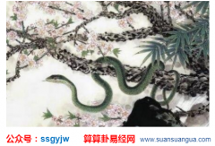 明年运势:1989年属蛇的人2021年运势如何？（图文）