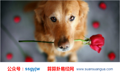 1600312453564404.png 1597026123(1).png