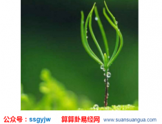 姻缘算命_大师解说能得爱人宠爱的女人特征（爱人）