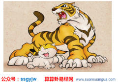 婚姻匹配_属虎的女孩找属什么好？（算命）