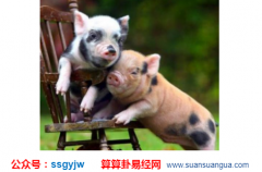 属相风水_大师解说公元2020年9月20日星期日(运势)