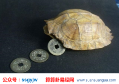 在线六爻算命_大师提醒你的婚姻需速战速决（婚姻）