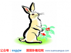 时辰算命_出生年份不同的生肖属兔是什么兔？（算命）