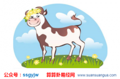 周易易经_属牛的人一生的工作和财运（算命）