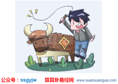 周易易经_属牛的人本命年是哪一年？有什么影响（算命） 