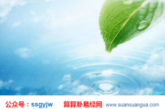 占卜算命_分析好色之人的八字特征(色)