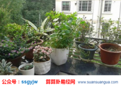 风水命理_分析门前有一物百鬼不侵_财运滚滚来！(阳宅)