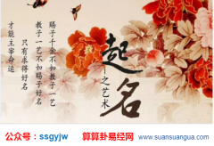 周易测名字_属马取名宜忌有什么？（算命）