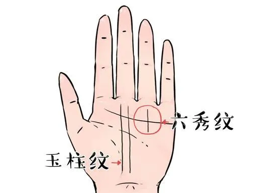 看面相预测老师详解六秀纹成功线