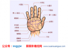 手相算命_大师详解玉柱纹(事业线)（上）