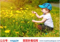 出生日算命_分析孩子在家中的作用（八字命理）