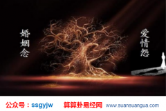 测八字合婚_分析老公跟我闹离婚了如何挽救（婚姻）