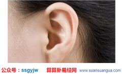 面相算命_大师从耳朵看运势（耳朵）