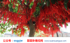 测算婚姻_由日柱干支识配偶（算命婚姻）