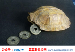 六爻测财运_分析生意何时能好起来(财运)