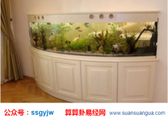 风水命理_大师解析在风水较催财的物品（财运）