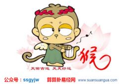 解读易经_属猴的未时出生命运如何？（算命）