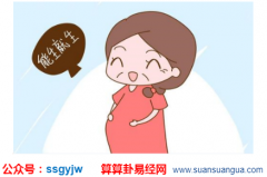 八字测命_鼠年生宝宝，福气双全（算命）