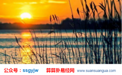 排八字算命_解析今年能抓住好运尾巴与财富做朋友之人（财运）