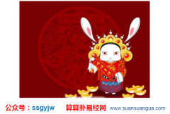 八卦算命_属兔的卯时出生命运怎样？（算命）