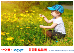 奇门遁甲免费算命_算卦儿子“个头”的高矮（奇门占卜）