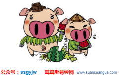 八卦算命_属猪的4月出生命运好吗？（算命）