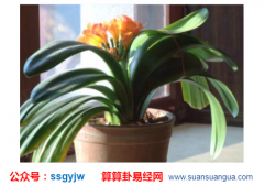 风水宜忌_大师浅谈暗示八方聚财的三种风水现象（聚财）