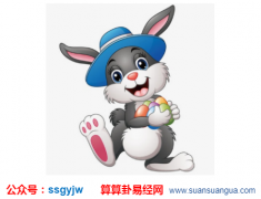 八卦算命_属兔的10月出生运势好吗？（算命）