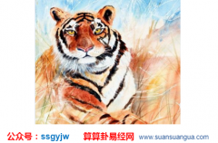 风水玄学_大师浅谈微信头像的使用的讲究（财运）