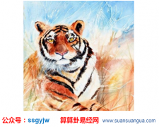 易经八卦：属虎的10月出生运势如何？（算命）