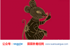 易经八卦_属鼠的8月出生命运如何？（算命）