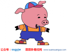 周易八卦_属猪人改命十大方式（算命）