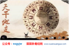 八字命理：十二地支午代表什么意象？（算命）