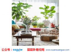风水学知识_摆放在家中能够带来好的植物（财运）